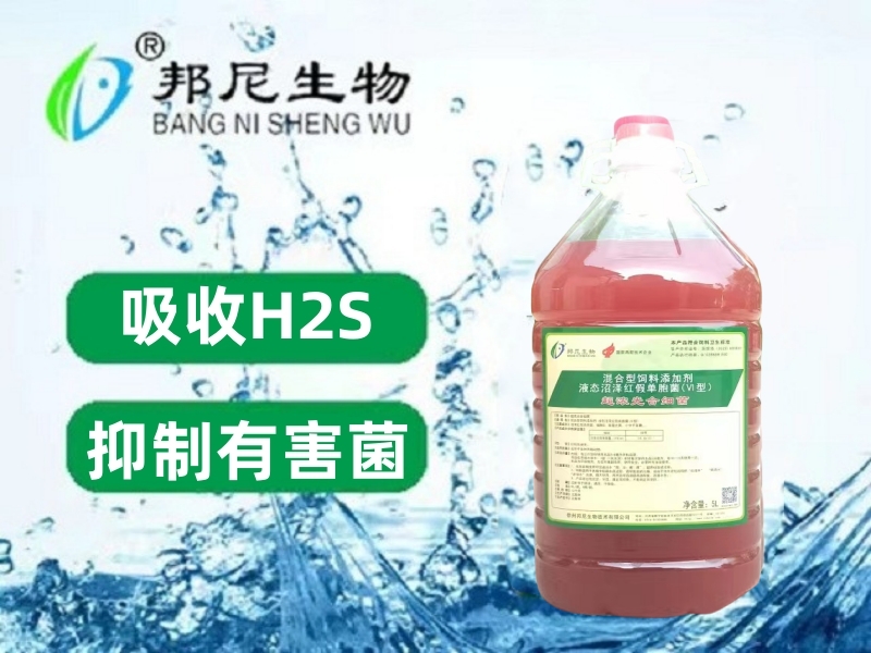 超濃縮光合細(xì)菌